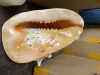 Triton shell
