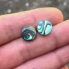 Abalone Shell