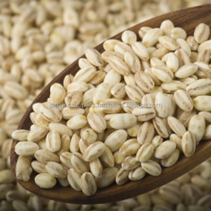 Barley Grains Premium Barley Seeds/animal Feed Barley/bulk Barley Grains Malted Barley Malt