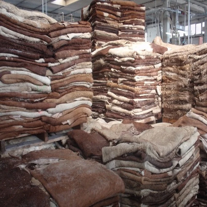 Raw Wet Salted Cattle Hides Cow Skins /buffalo Horns Buy Quality Wet And Dry Hides,Bulk