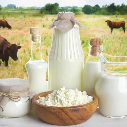 milk 5.jpg