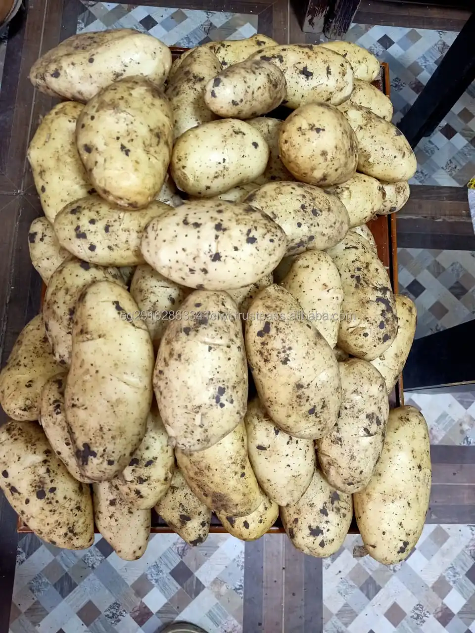 Bestselling Fresh Vegetables, Potatoes for Sale at Competitive Prices.