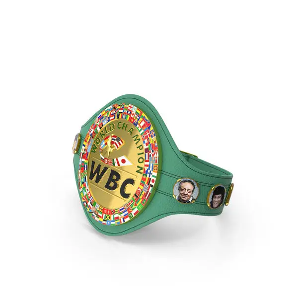 WBC WBA WBO IBF IBO チャンピオンシップ ボクシングベルト 大人用