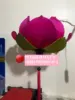 สีชมพู