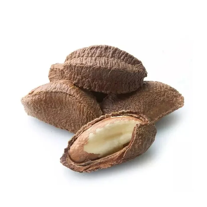 Brazil Nut Kernels Midget Size Shelled Brazil Nut Midget Size