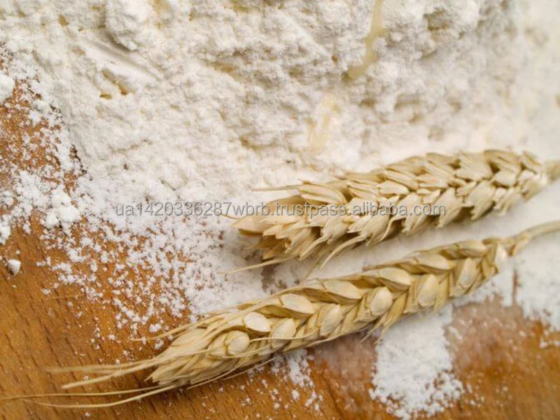 Barley Grains Premium Barley Seeds/animal Feed Barley/bulk Barley