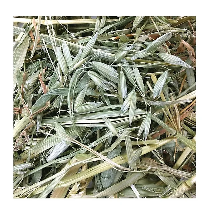 Quality Timothy Hay Quality Oat Hay/ Timothy Hay And Lucerne Clover In