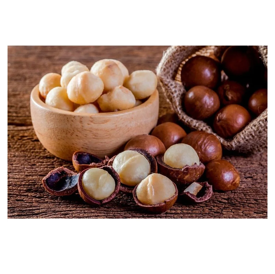 Hot sale Macadamia Nuts Raw Salted Roasted Maca Powder Healthy Food Macadamia in Shell