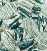 Green and White