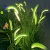 Feu vert