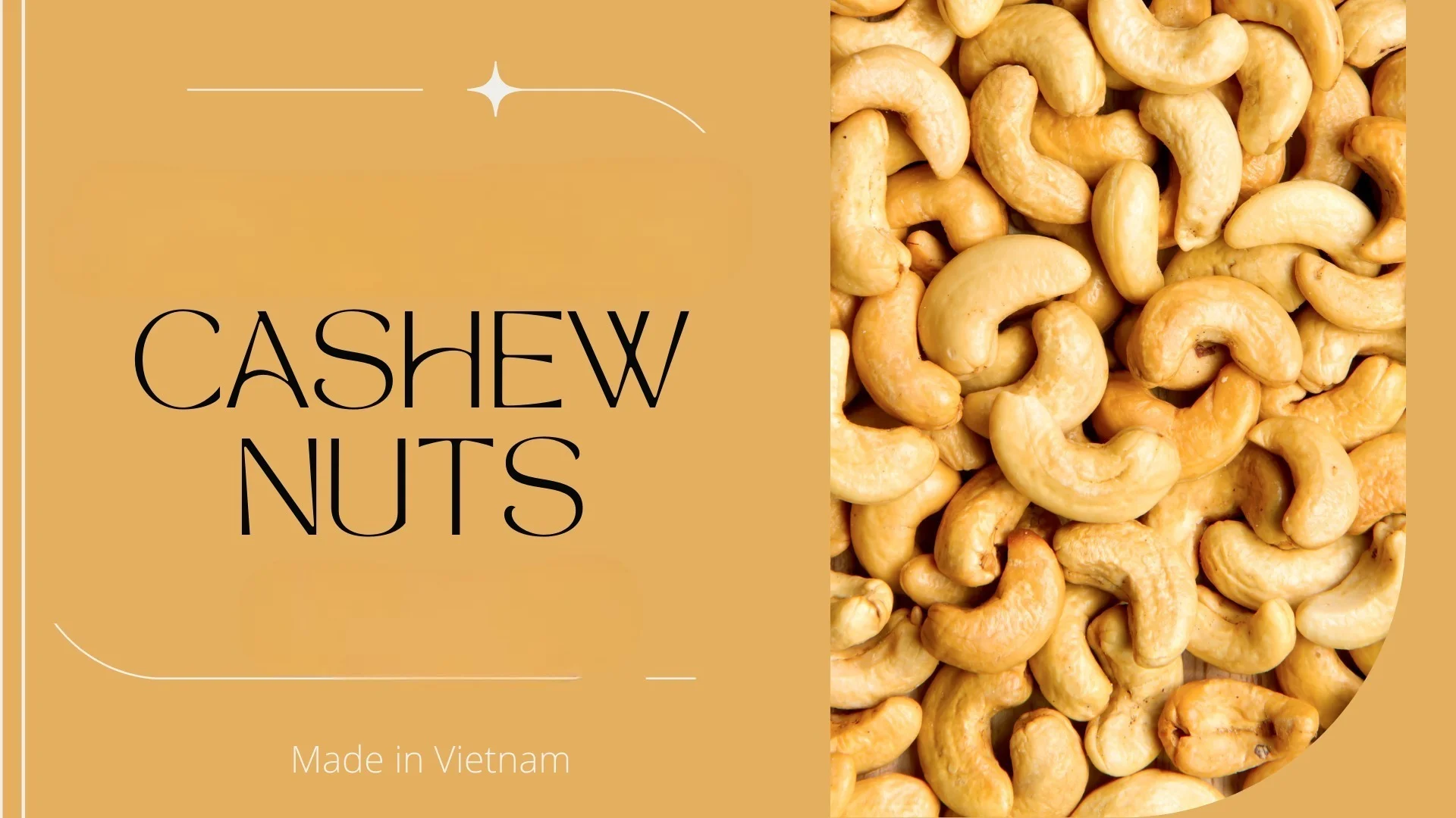 Wholesaler Vietnamese Cashew Nuts Sw240 Type Good Quality Buy Cashew