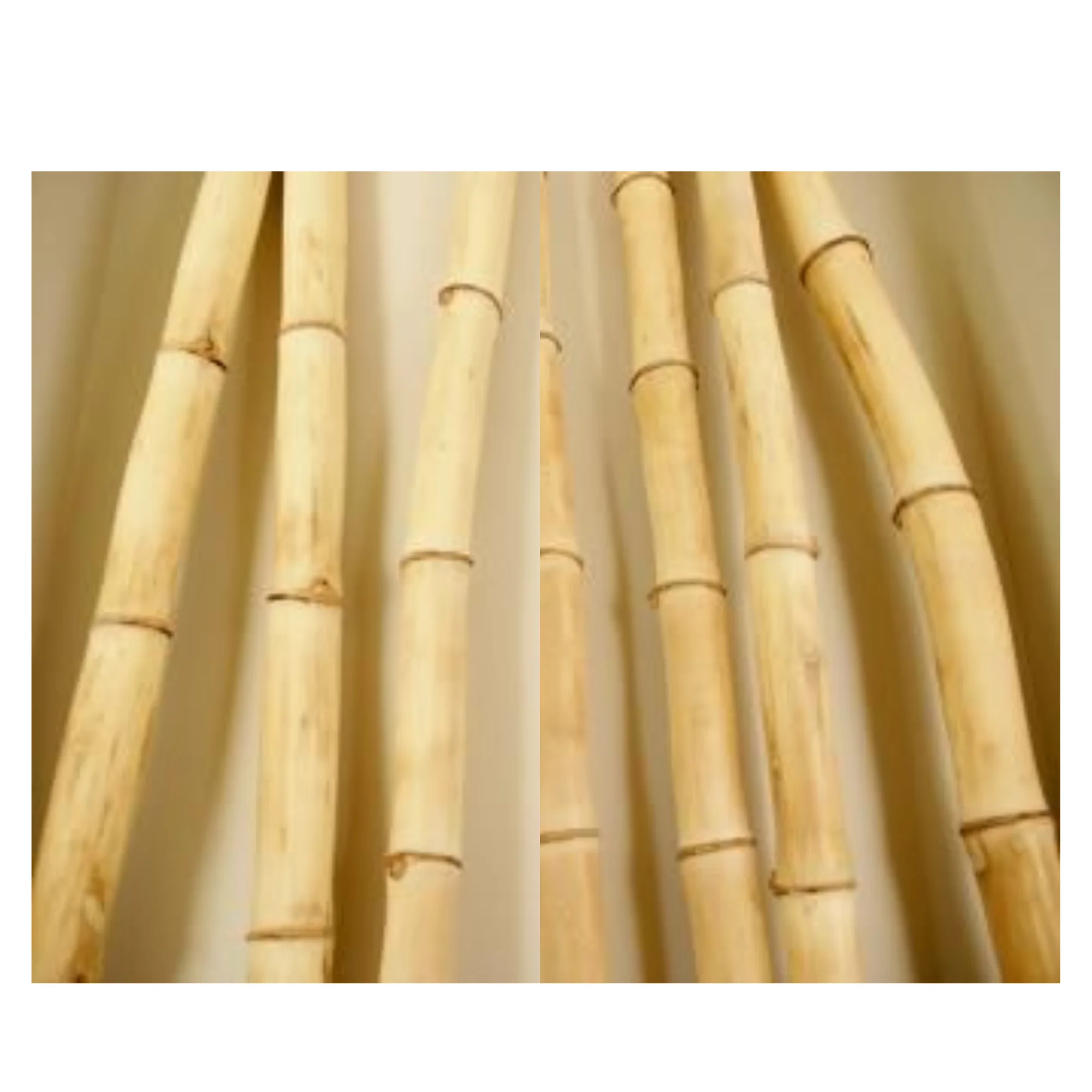 koper BES Oogverblindend Source Materiaal Bamboe Stokken Groothandelsprijs Ruwe Bamboestokken Voor  Tuinieren En Decoratie Bamboestok on m.alibaba.com