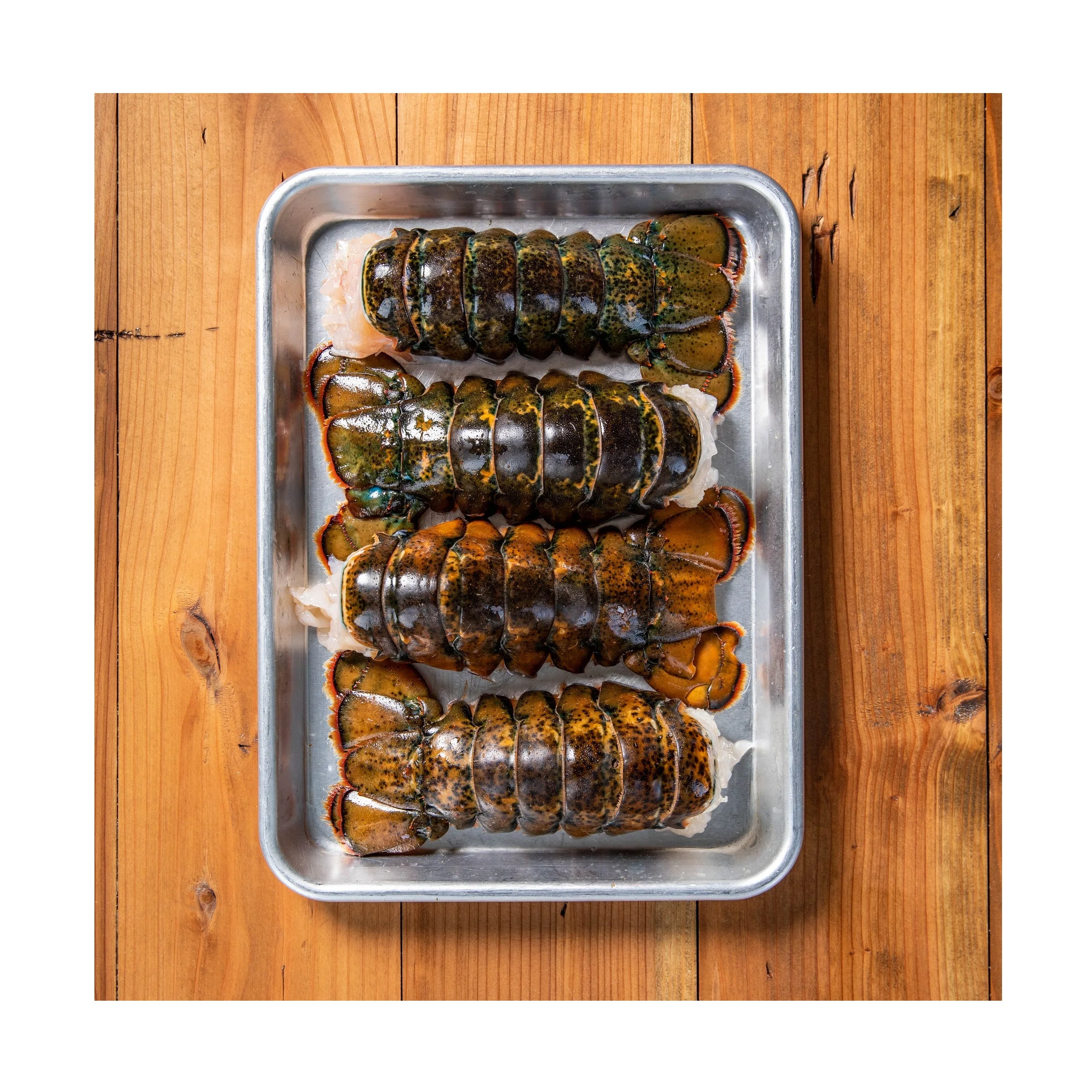 Live Lobster / Lobster Tails In Bulk Premium Quality - Buy Buy Live ...