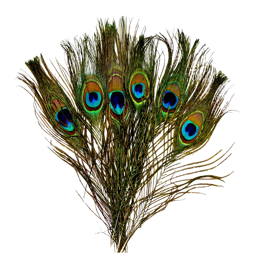 Premium Quality 10 Inch Peacock Feathers Ideal For Smudging And Ritual ...