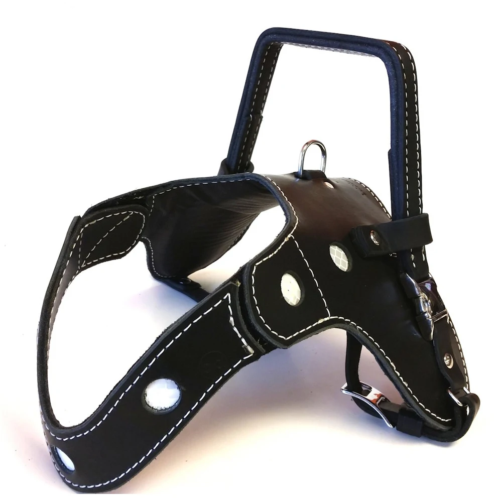 Dog Harness Dogs Real Leather Tracking Leather English Pointer Harness