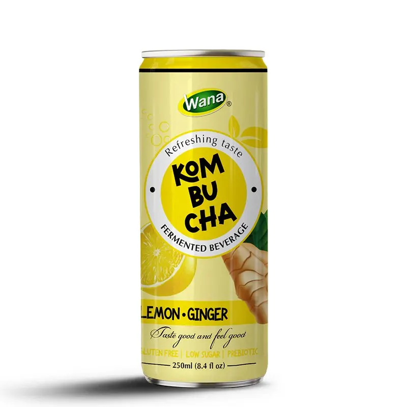 Peach & Lychee Juice Mix With Sparkling Kombucha Drink in 250ml Aluminum Can | Premium Tea Drink- Private Label OEM Beverage