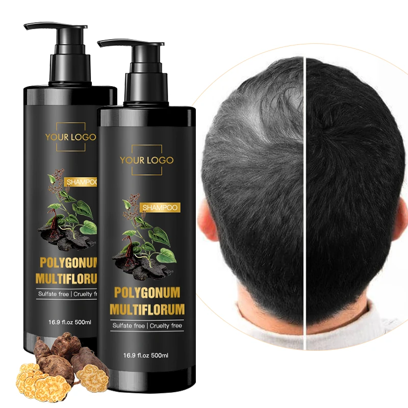 Производитель OEM частная марка аргановое масло шампунь без сульфатов эссенций полигон мультифлорум черный против выпадения