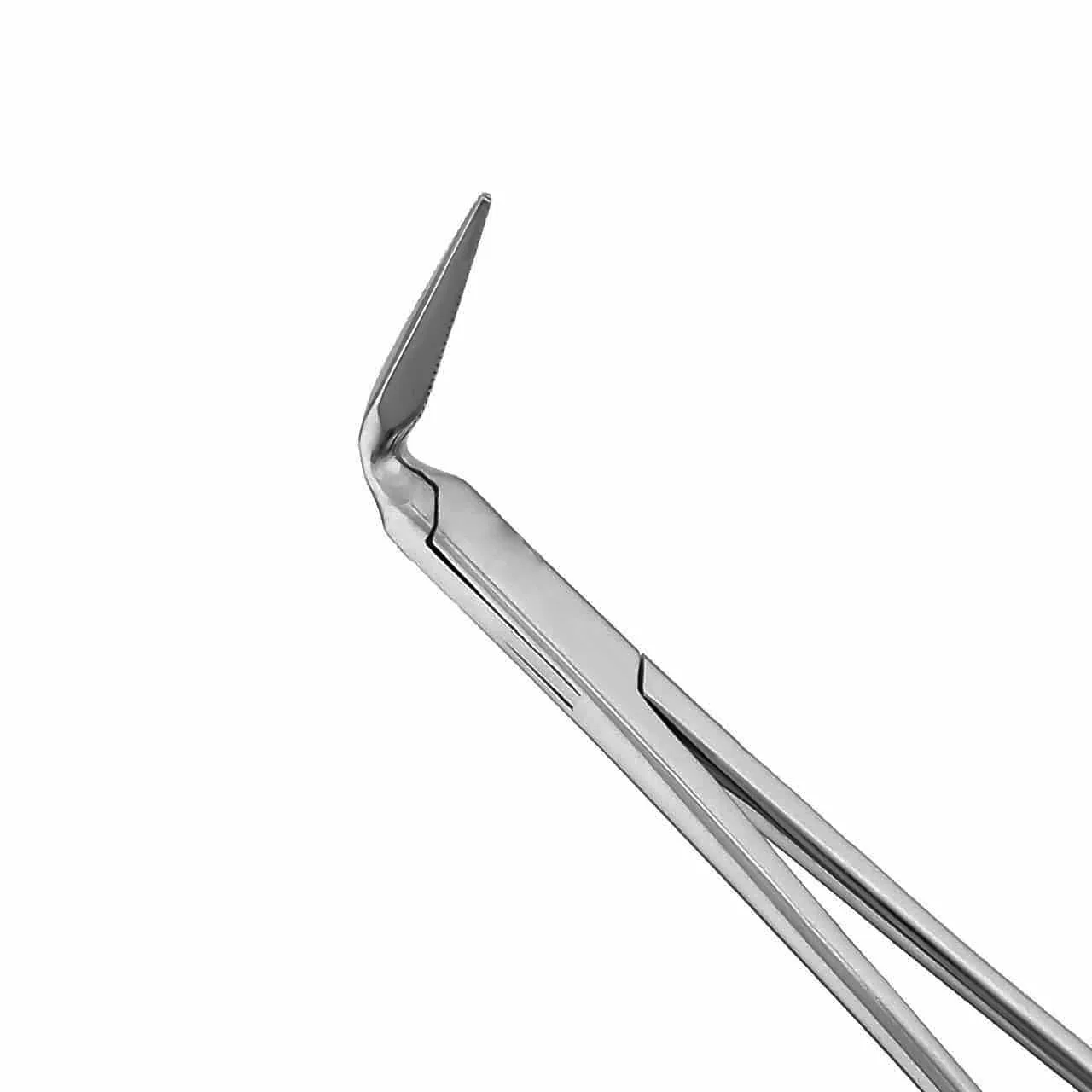 Stieglitz Splinter Forceps Str With Rachet Stainless Steel Endodontic