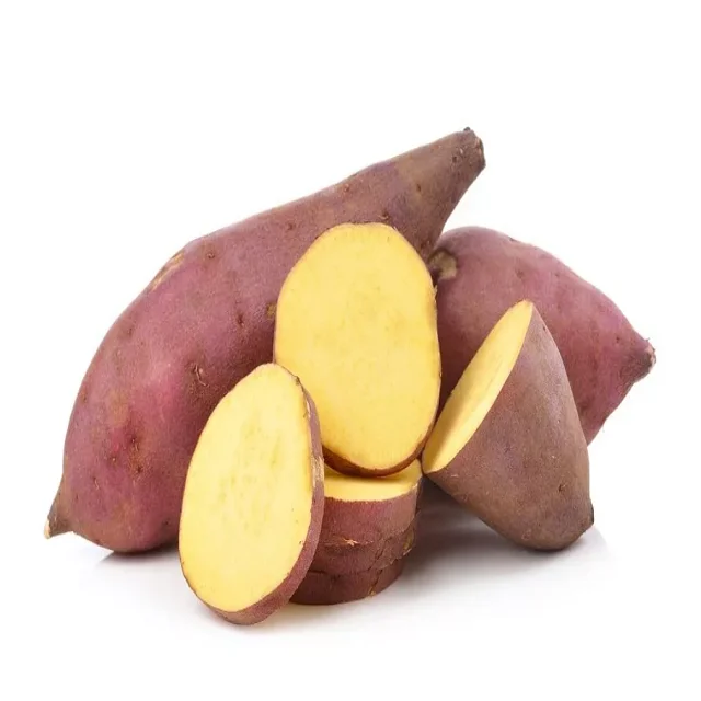 Sweet Potato Carton Boxes Common Cultivation Type 100 Natural 170