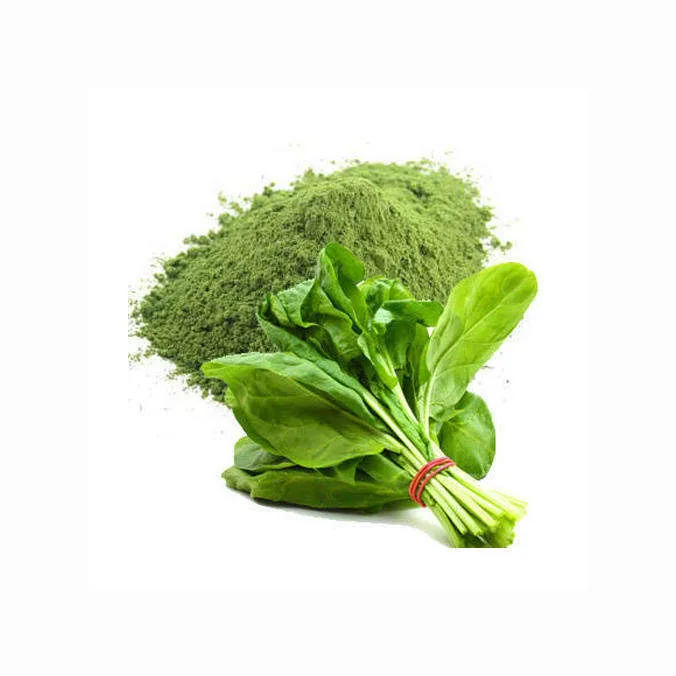 Vegetable Powder Spinach Extract Spinach Powder Buy Dry Organic