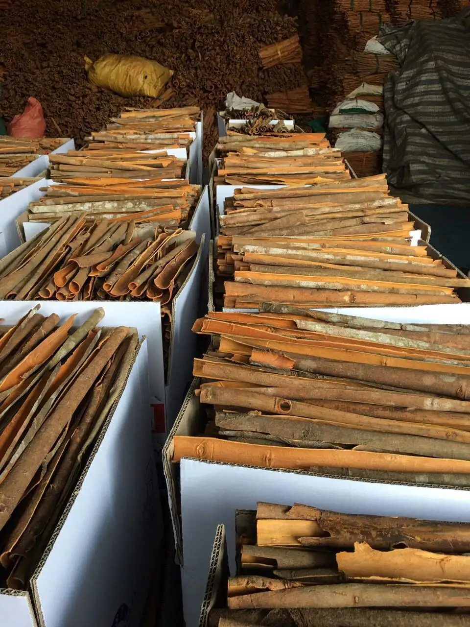 BEST PRICE SPLIT CINNAMON Made in Vietnam with High Quality // Good Quality From Vietnam // Ms. Beatrix