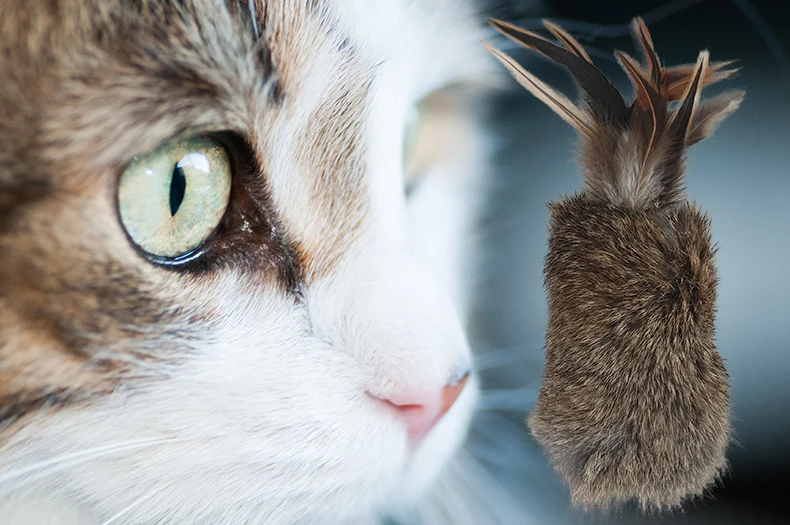 Factory Direct Supply Pet Toys Real Rabbit Fur Cat Teaser Colorful Feather Stick Dog Training Toys Play Supplies Pet Products