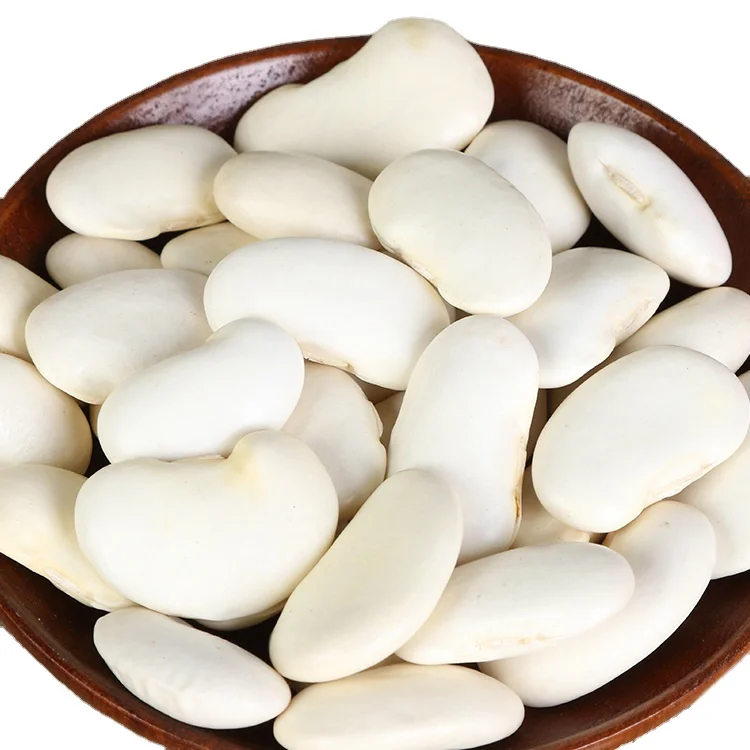 Premium Bulk Top Grade White Kidney Beans / Large Size Thai Origin for Export