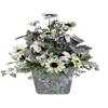 As Shown