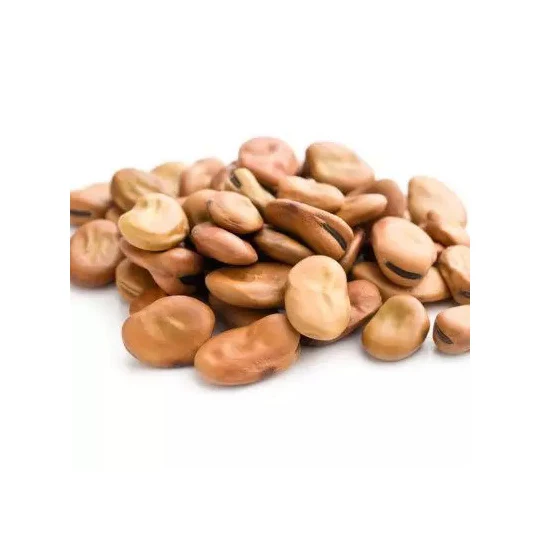 Dried Broad Beans Bulk Dry Fava Beans Buy Wholesale High Quality Dry