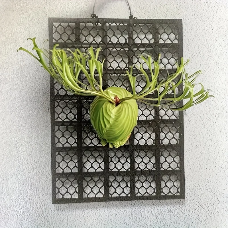 54cm*42CM Plaid Pattern Metal Wall Mounted Planter Rectangular Hanging  Plant Stand Indoor Outdoor Staghorn Weather Ferns Hanger