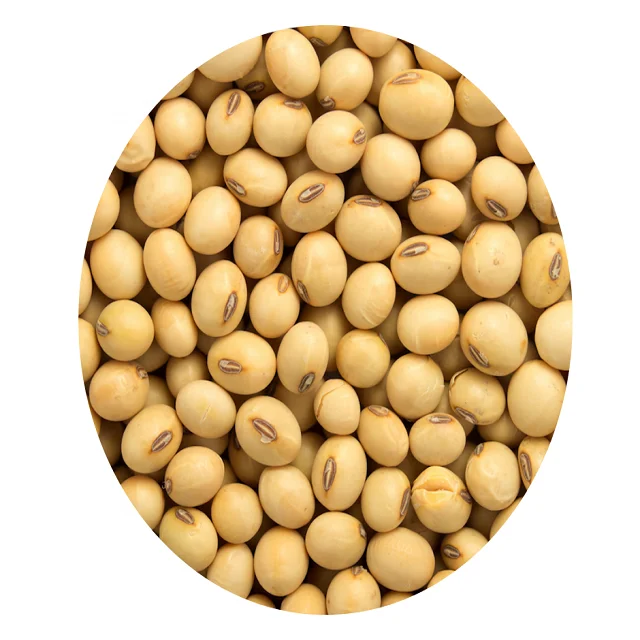 Premium Quality Soybean/ Soya Bean/ Soybeans Seeds Buy Soy Bean,White