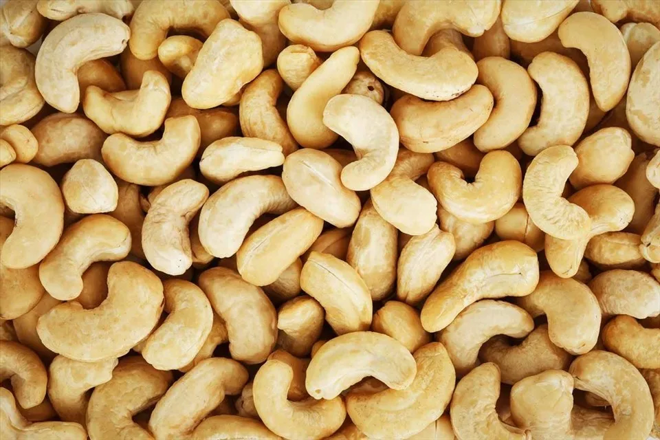 CHEAP PRICE CASHEW NUT MADE IN VIETNAM