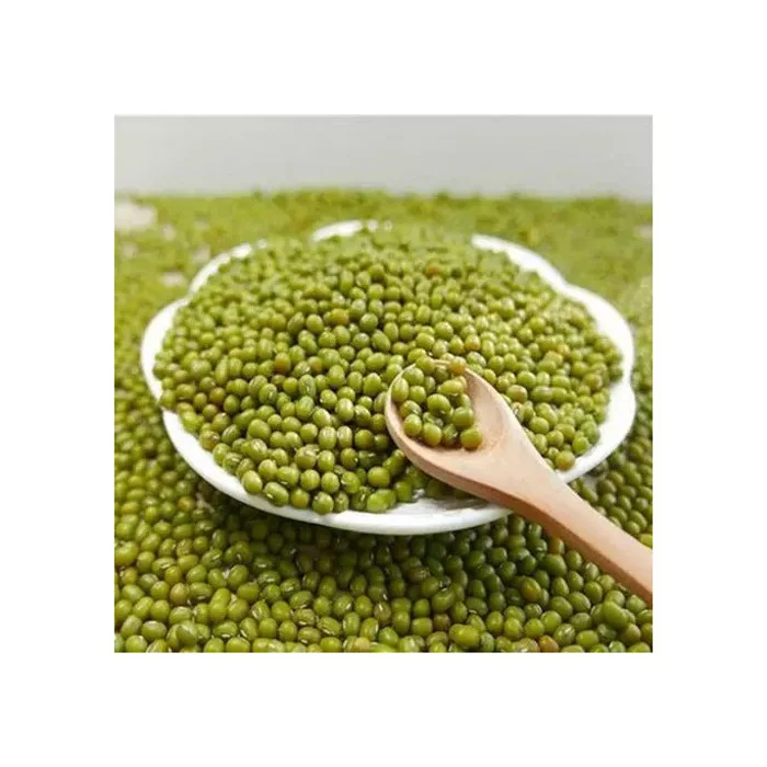 Dried Mung Bean/moong Dal Seed/sprouting Seeds Mung Bean - Buy Green ...