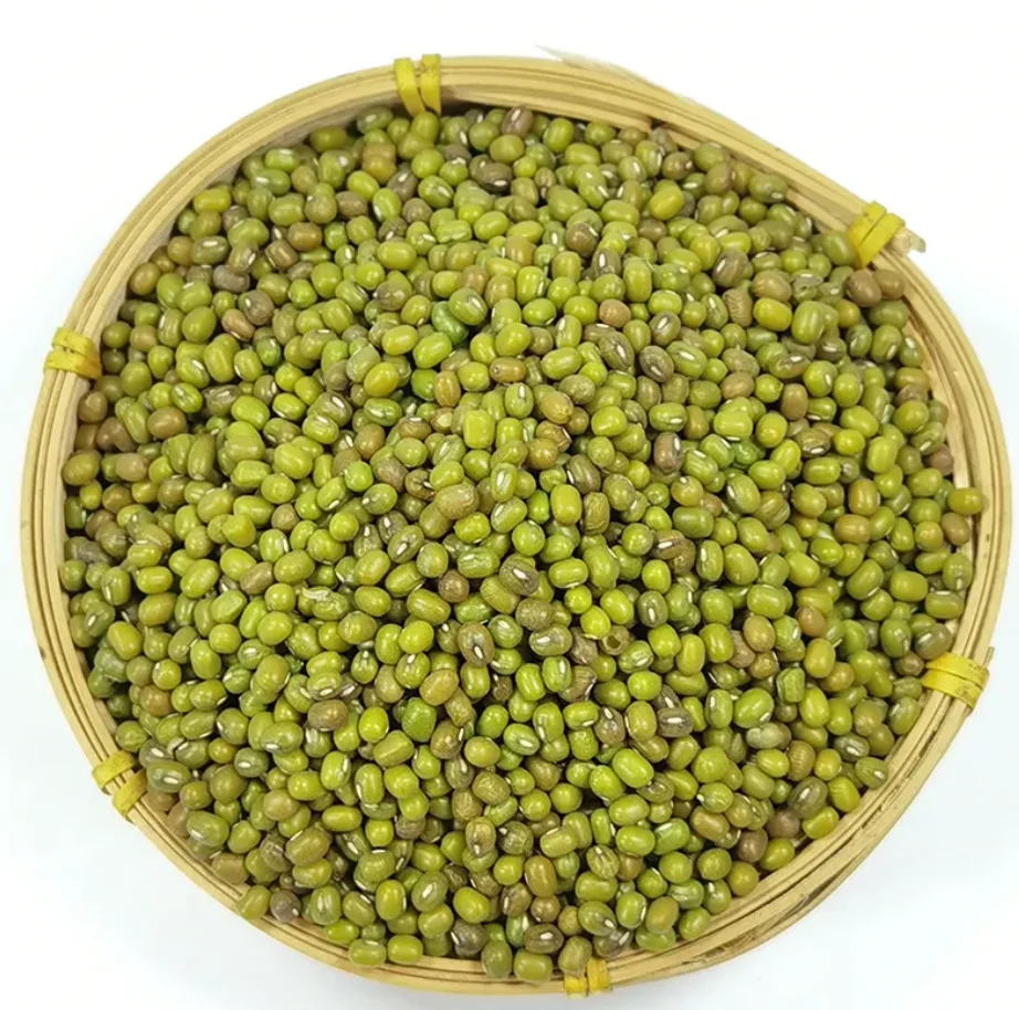 Mung Beans Good Quality Green Mung Beans Wholesale Price for export Philippines