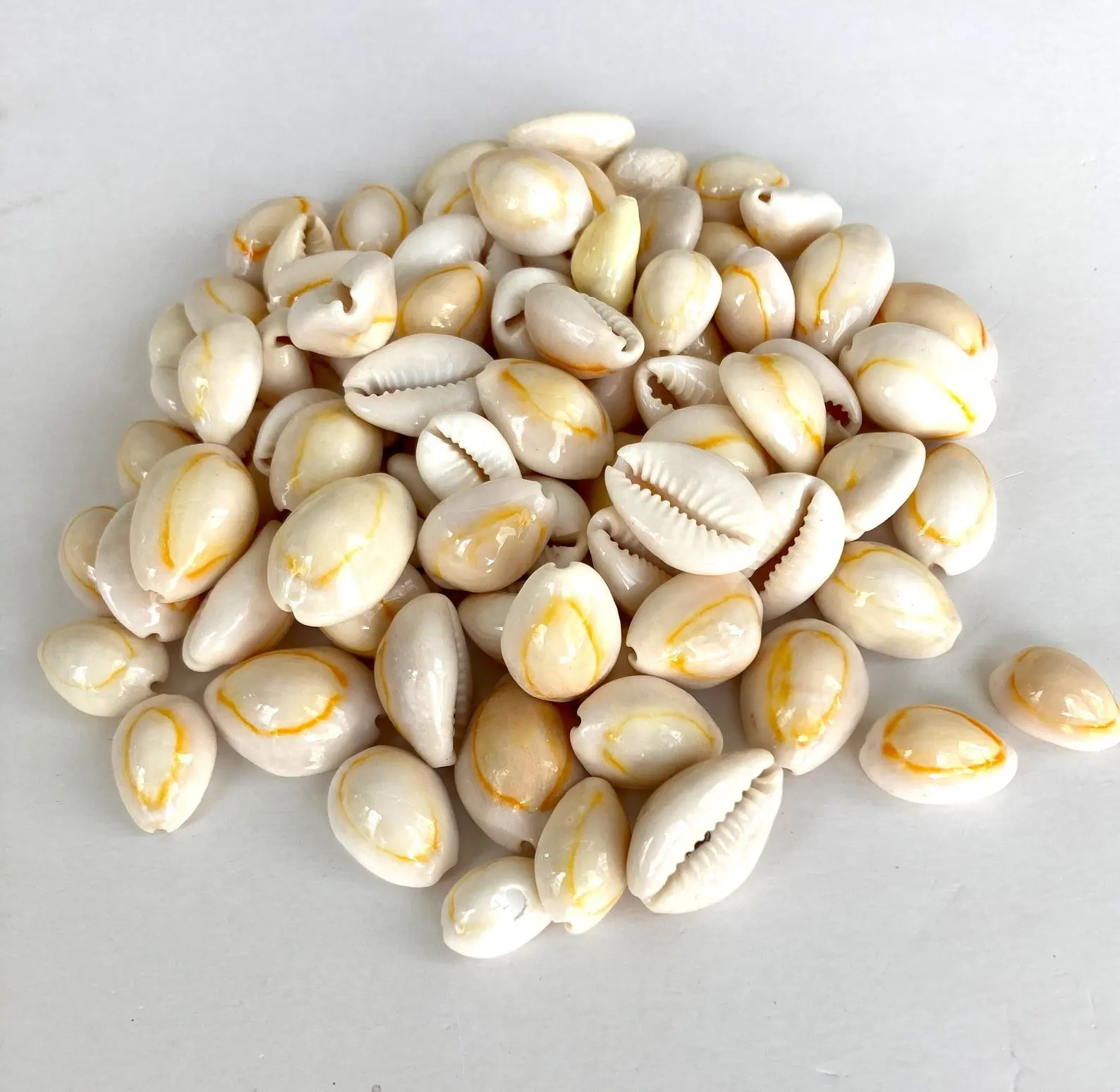 Vietnam Natural Crafts Hand Carved Seashells Cowry Engrave Shell ...