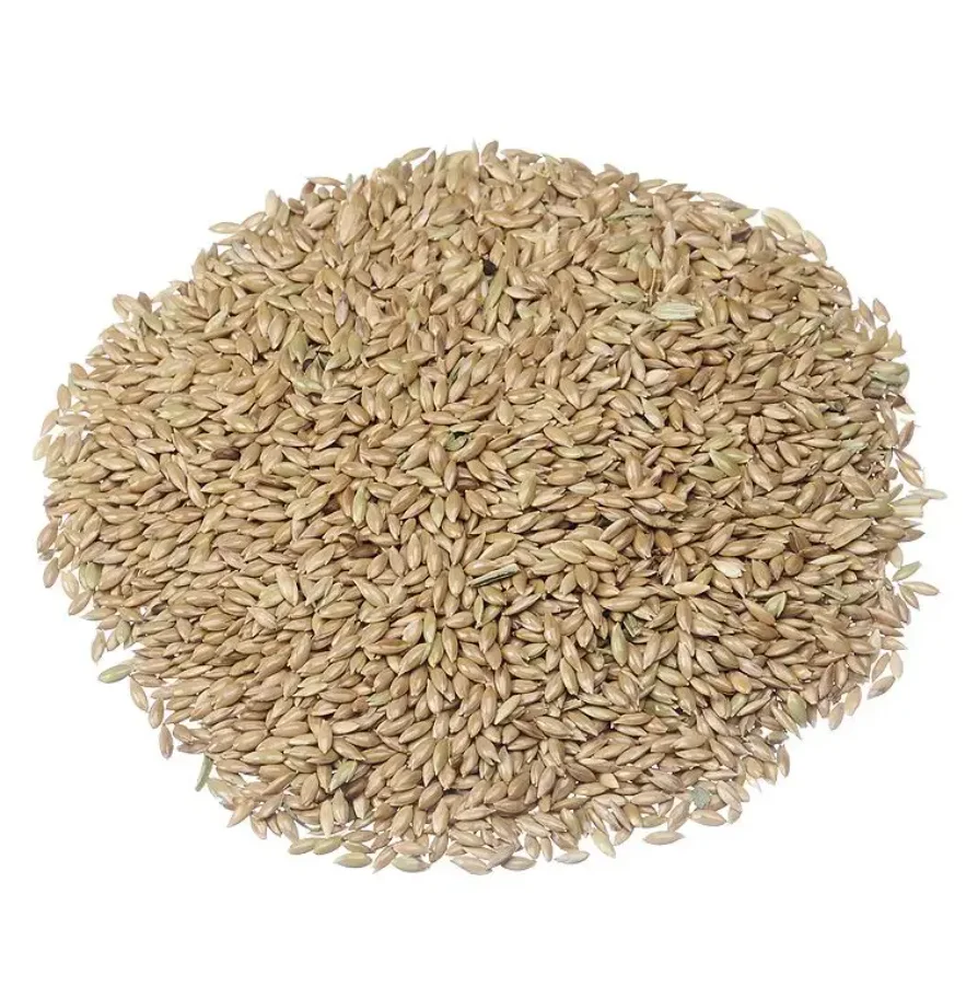 Factory Supply Canary Seed Canary Bird Seed Alpiste With Good Price Wholesale Canary Seeds
