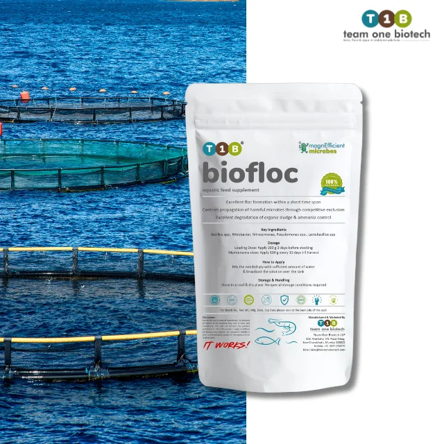 Biofloc Culture Powder Probiotics to Enhance Fish Pond Water Balance ...