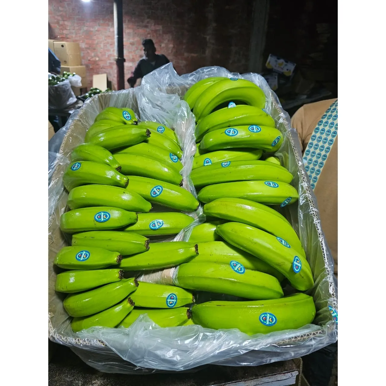 Total Organic Sweet and Creamy Fresh Bananas 1 Week Shelf Life