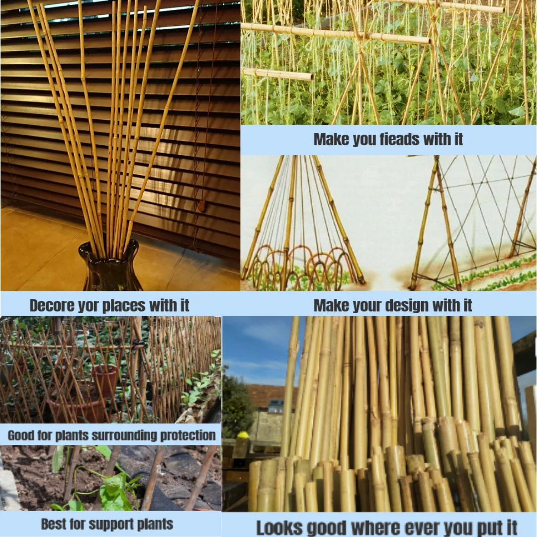 Bamboo Cane Bambu Stick Bamboo Pole For Plant Support Rods Or Bamboo ...