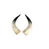 NATURAL COLOR HORN