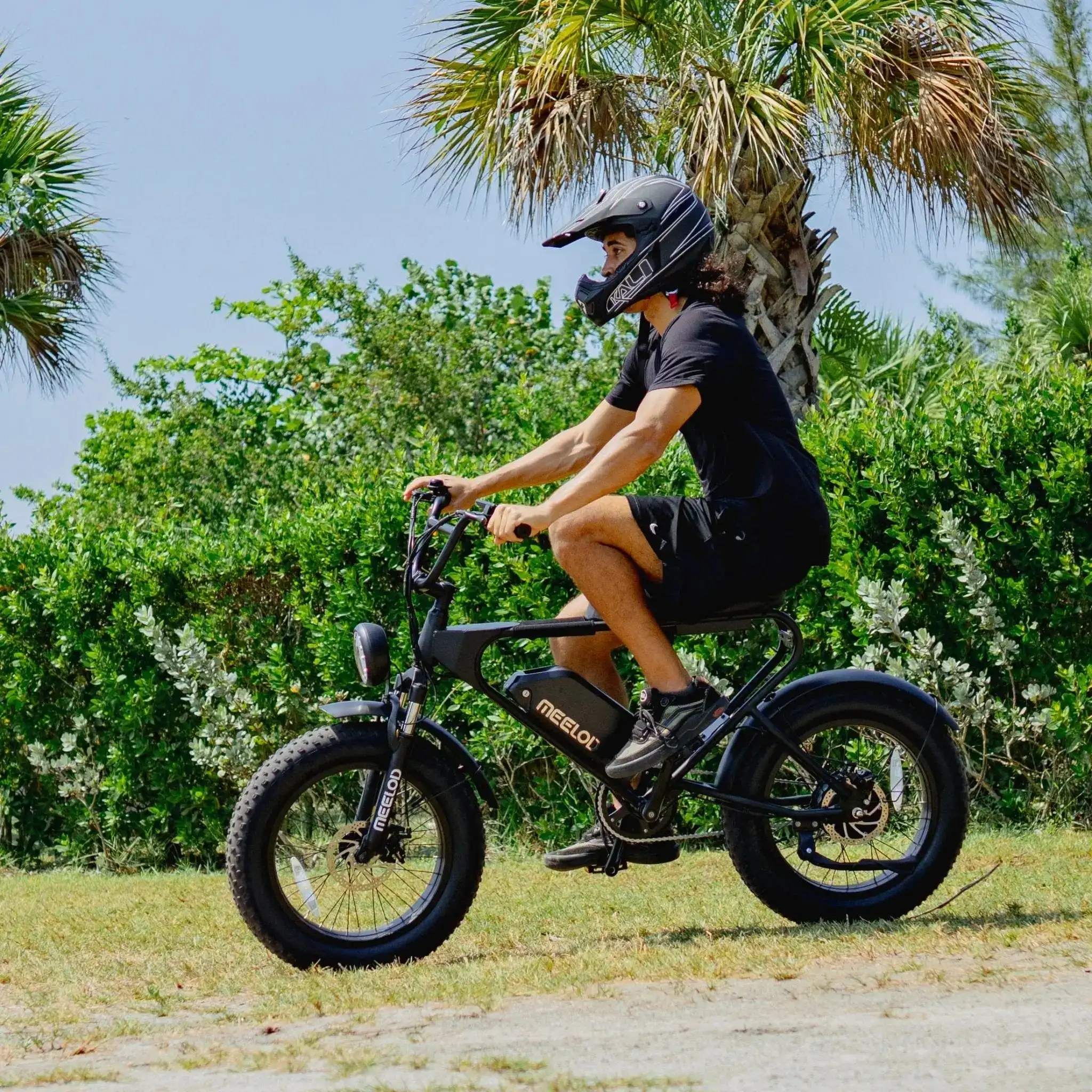 MEELOD DK200 Entry-Level Moped Style Ebike with 750W Motor 624Wh Battery IP65 Waterproof