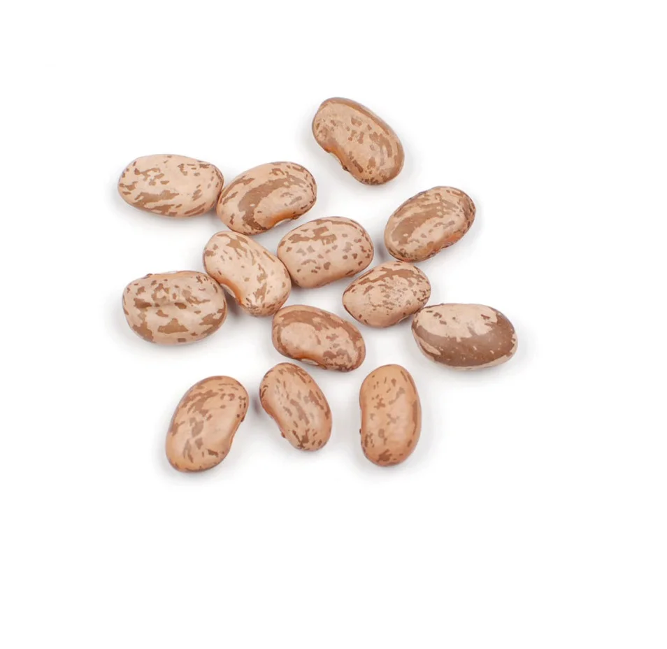 Premium Pinto Beans Natural Dried Light Speckled Kidney Pinto Beans For Sale Buy Pinto Beans