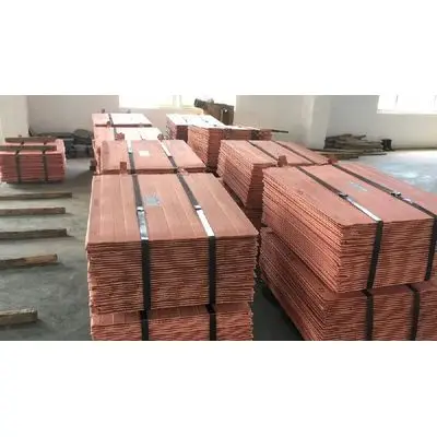 6678.jpg