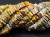 Multicolore