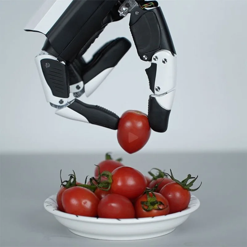 Dexterous Robot Manipulator Hand RH56E2 with 17 Tactile Sensors