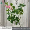 Large single-stem fuchsia, pink