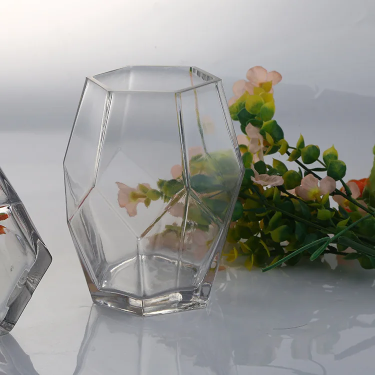 Creative Clear Hexagon Glass Flower Vase for Home Decor | Modern