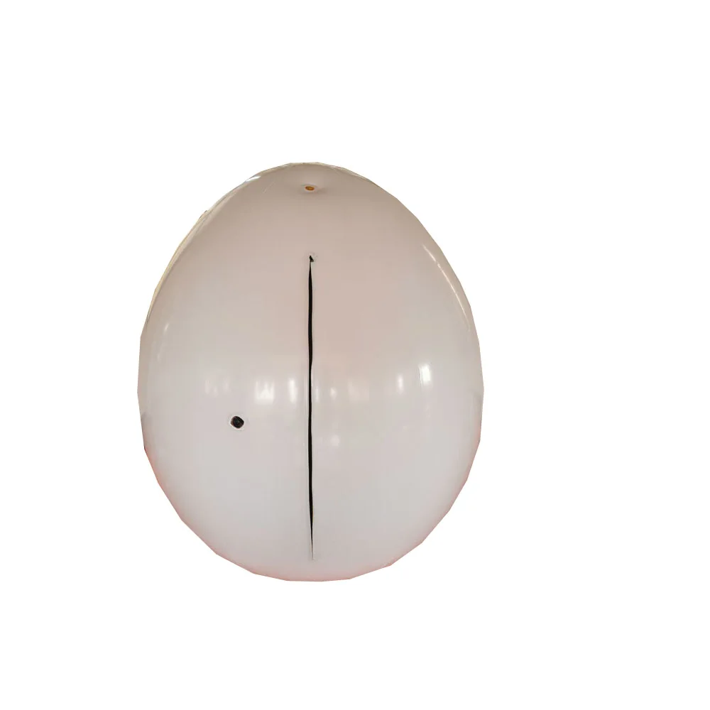 Customized  PVC Inflatable Variety Classes Eggs Suit