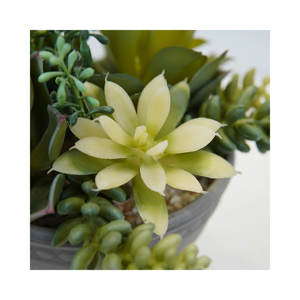 Wholesale Decorative Mini Indoor Artificial Succulent For Home