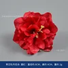 Flores de peonía corazón de hierba, rojo vino